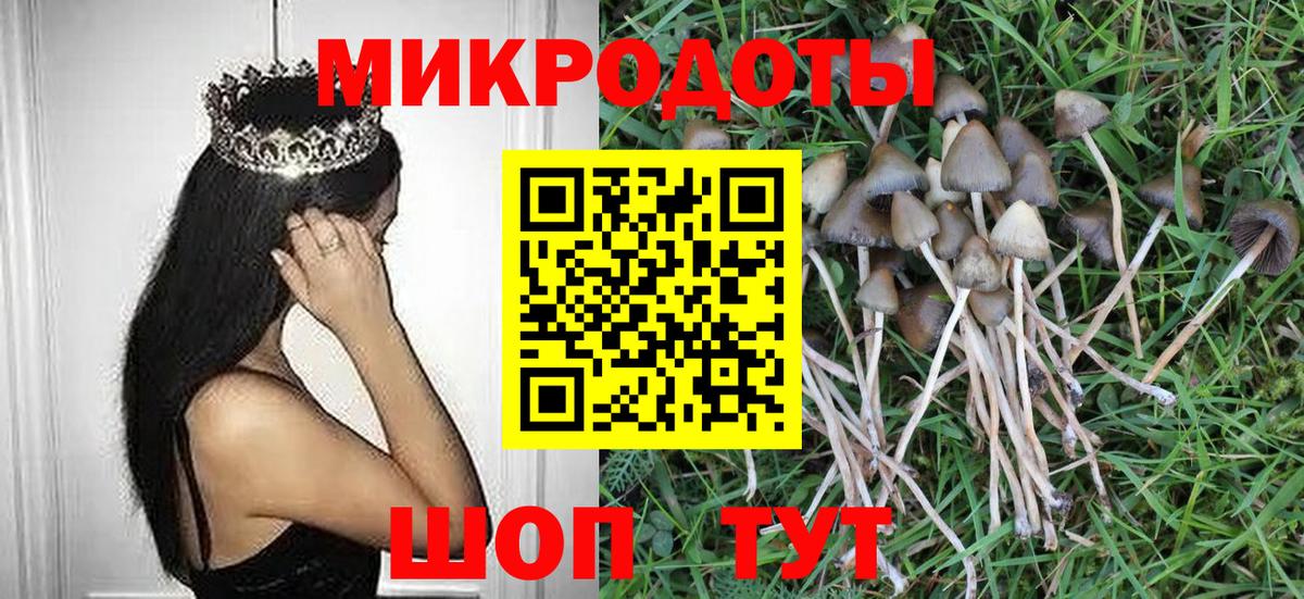 Галлюциногенные грибы Psilocybe Топки