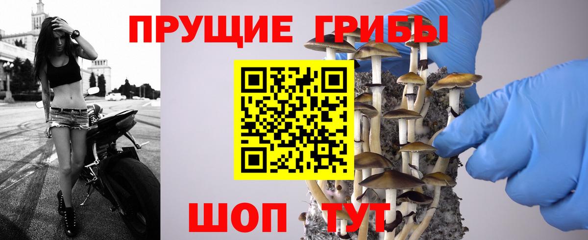 Топки  Псилоцибиновые грибы мицелий  Вход с VPN 